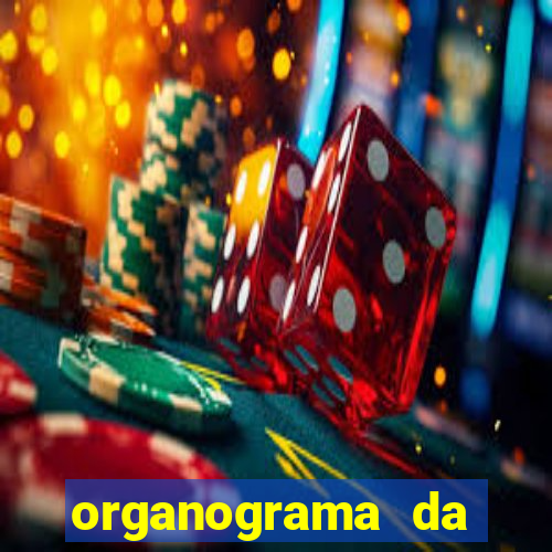 organograma da cacau show